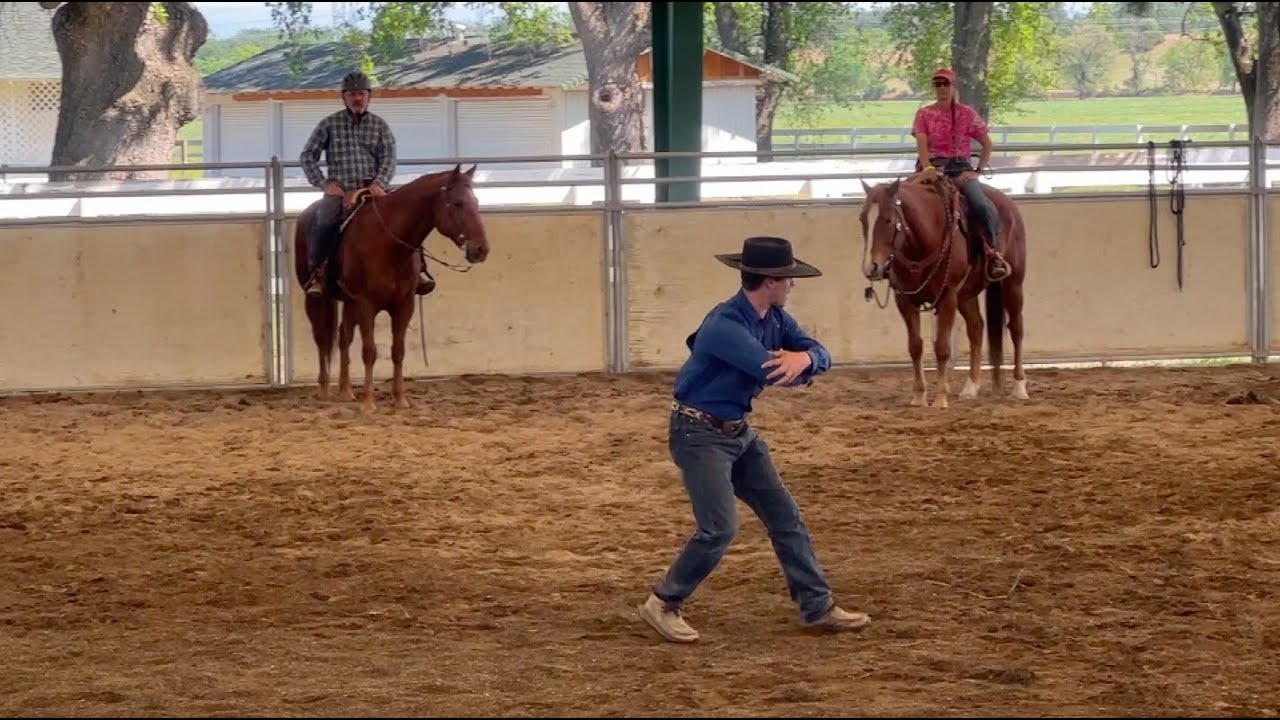 Why Does A Horse Become Buddy Sour?