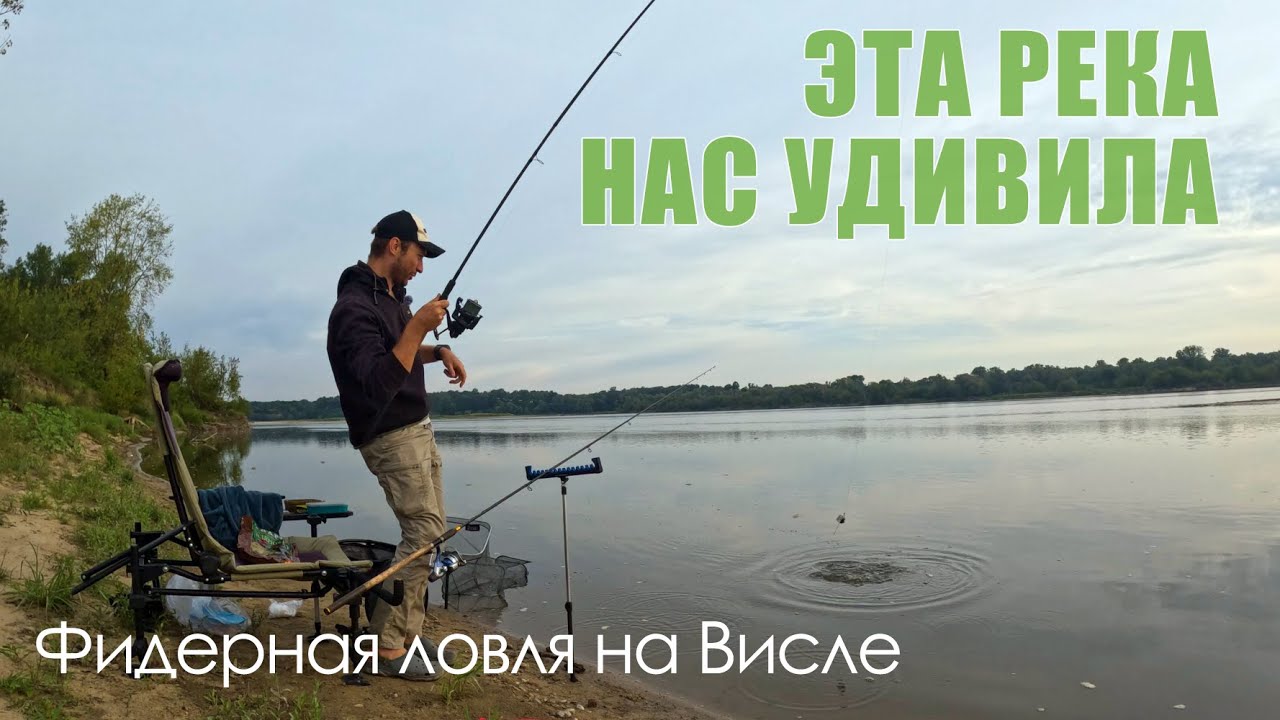 Огромное разнообразие рыбы на реке Висла / Фидерная ловля на реке / Ловля леща