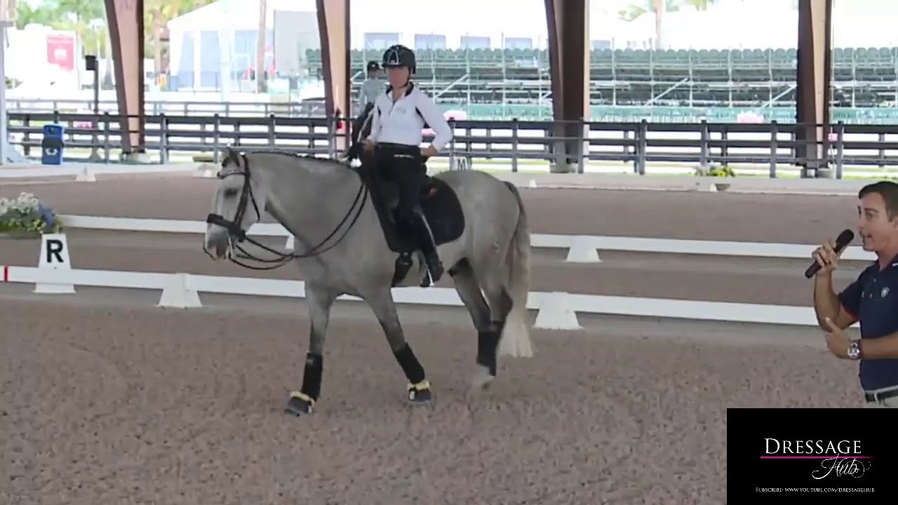 Robert Dover: 4 Things You Should Own In Riding Dressage