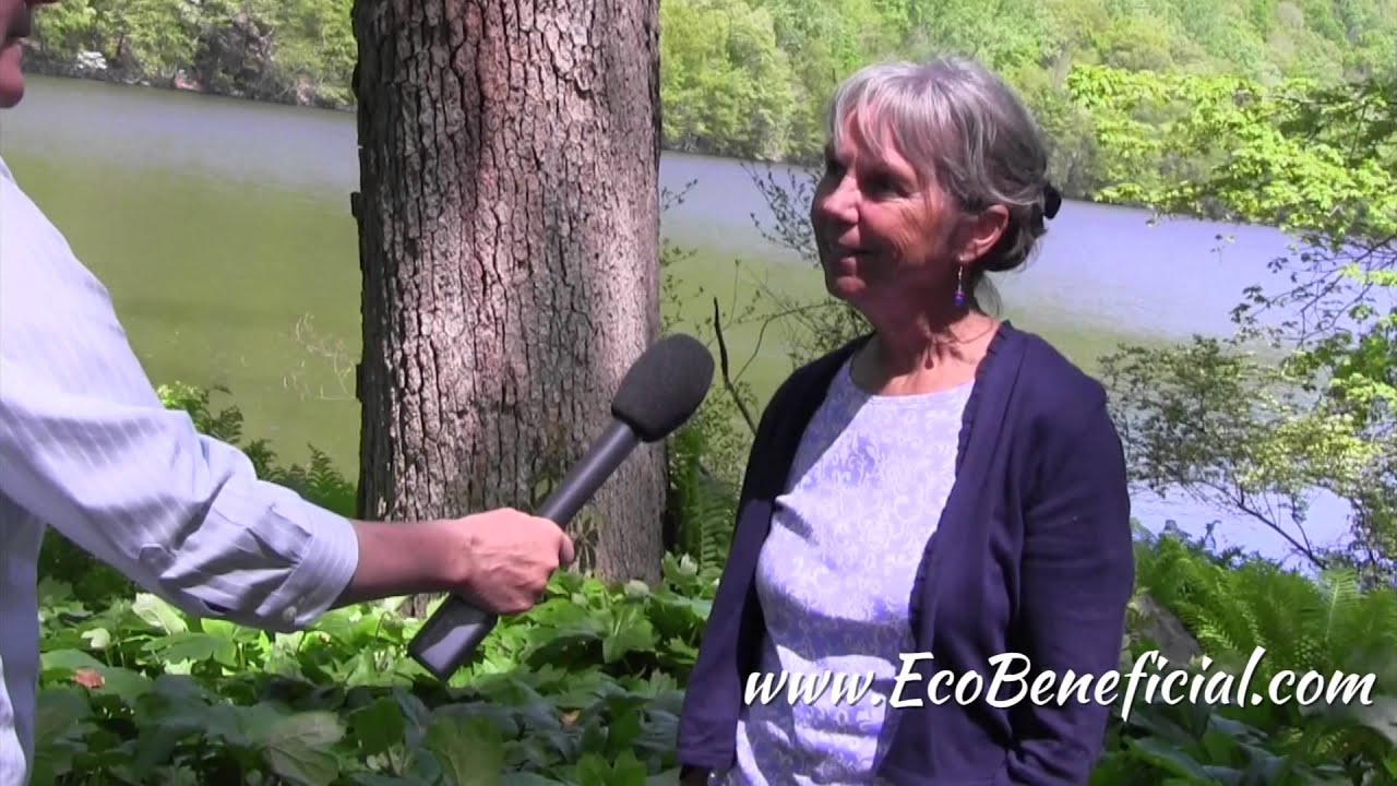 EcoBeneficial Interview: Exploring Mayapple with Carol Gracie