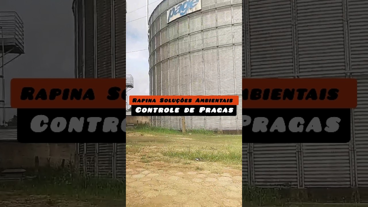 Controle de Pombos com Falcoaria: Legalidade, Efici&ecirc;ncia e Economia