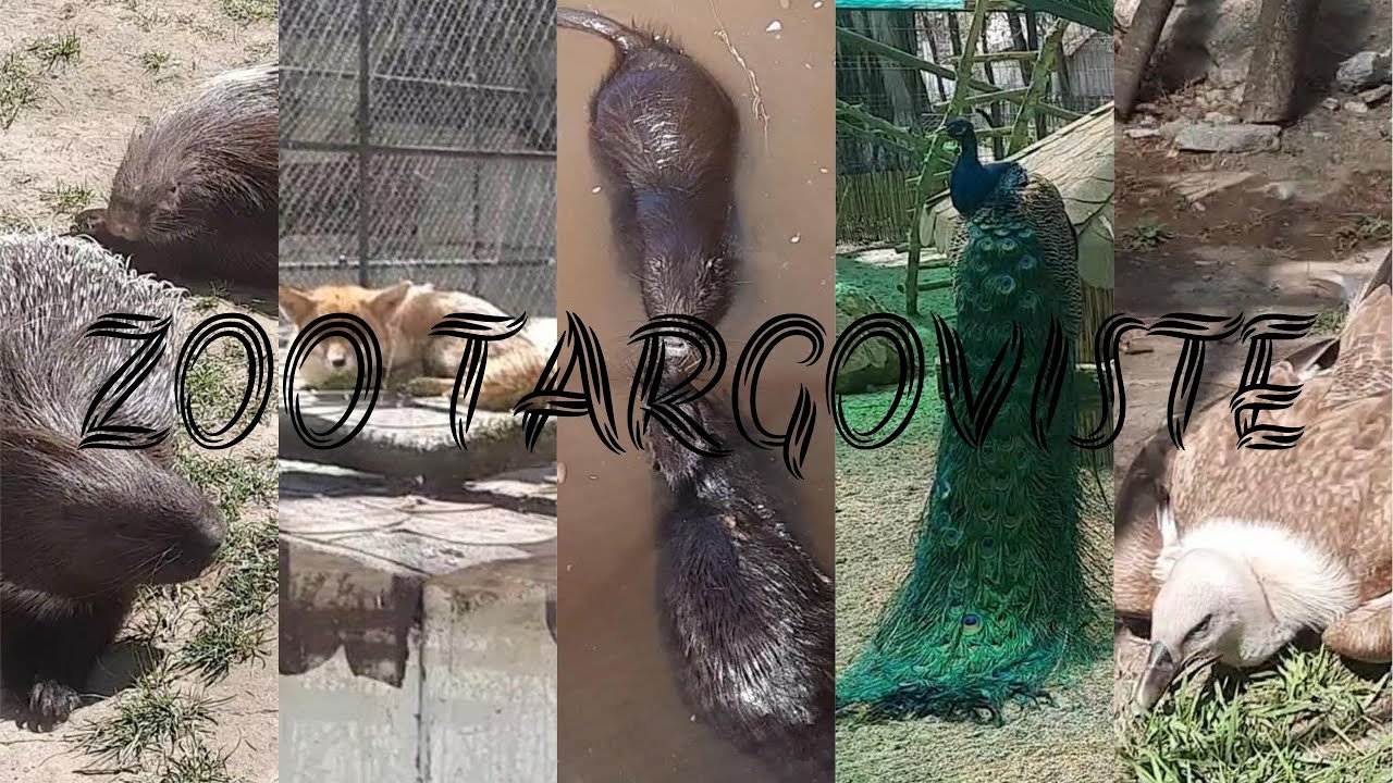 #15 - Zoo Targoviste - prima gradina zoologica din Romania