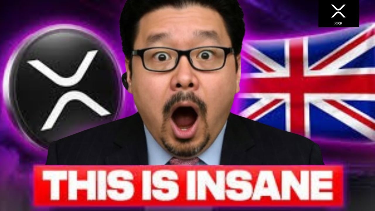 🔥 XRP MASSIVE SHOCK! THEY ARE PICKING XRP!??!?