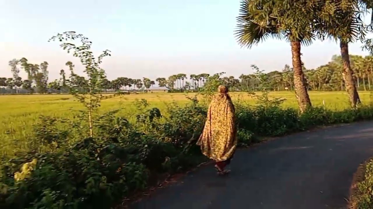 গোধূলি বেলা  