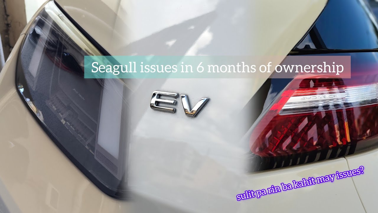 Seagull issues after 6 months of ownership? | BYD Seagull
