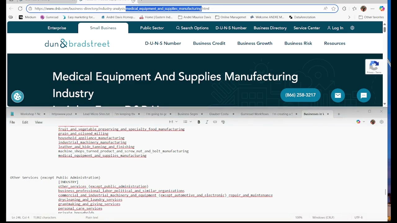 2025 09 30 Episode 9 - Generating an Information Source from Dun & Bradstreet for Business Industry