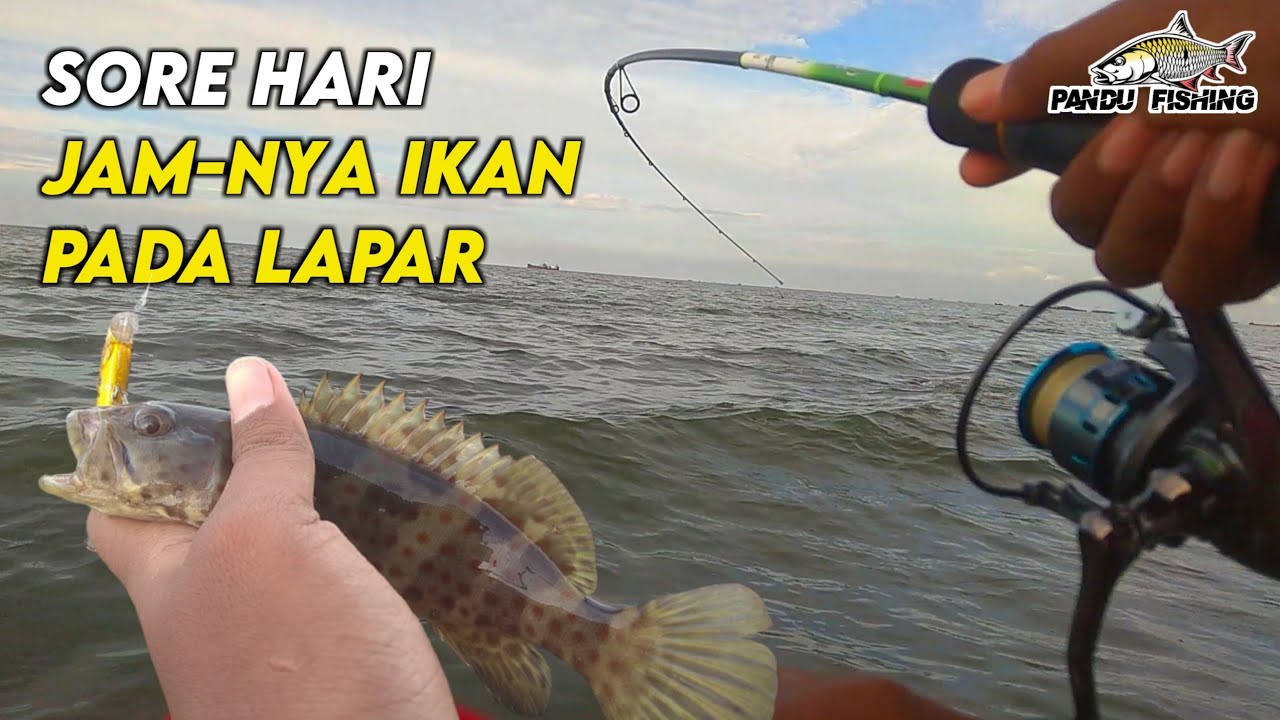 MANCING DI PANTAI BARUNA SORE HARI BANYAK SAMBARAN | MANCING SEMARANG