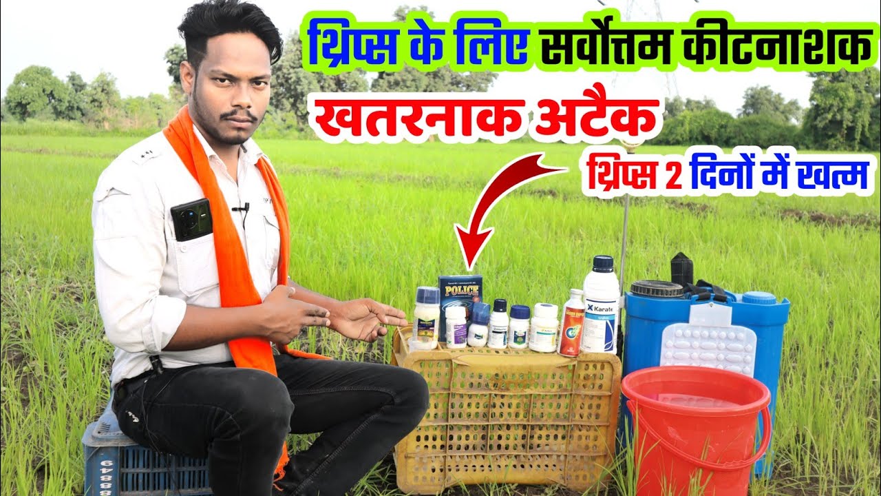 Thrips ki roktham | थ्रिप्स कंट्रोल कैसे करें | thrips ko kaise roken | How to control thrips insect