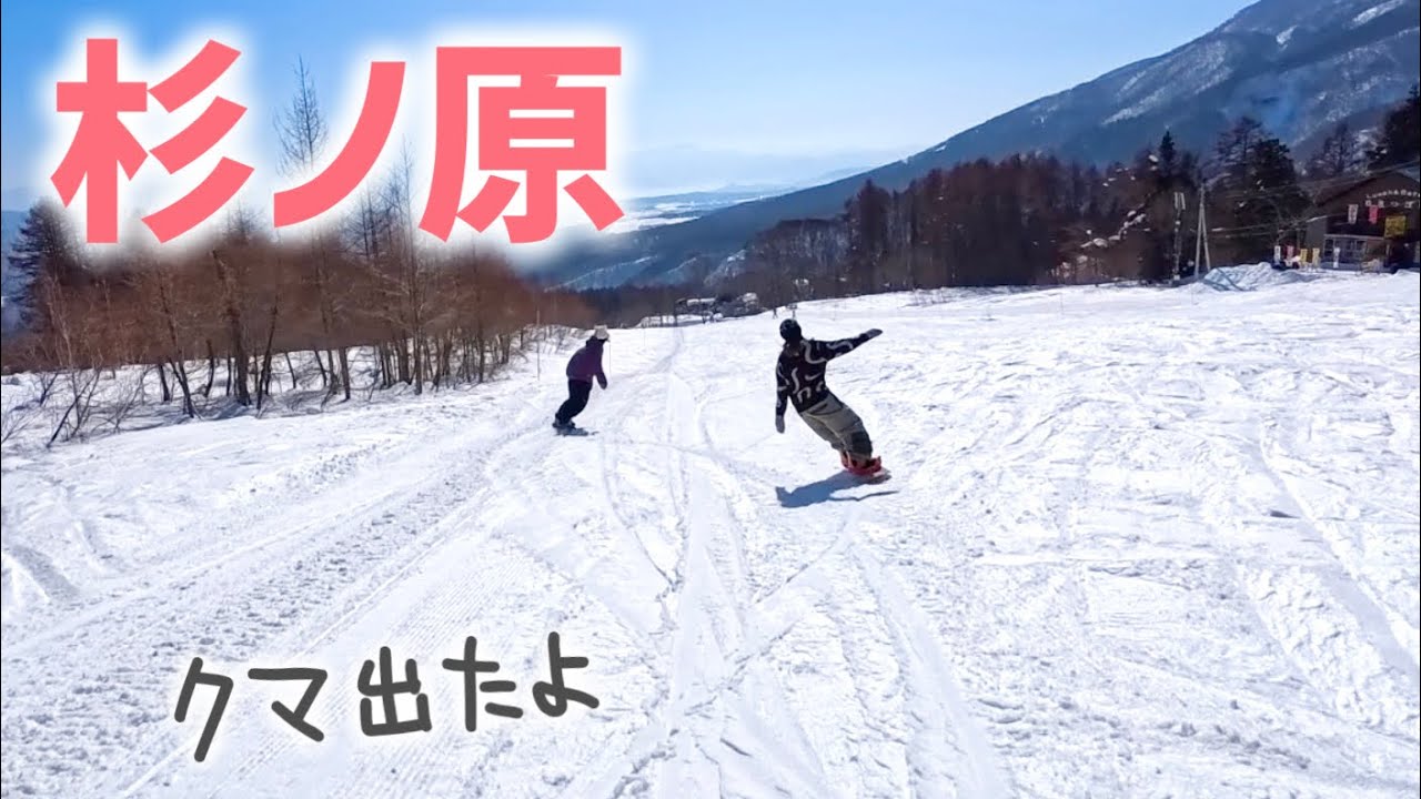 【妙高】杉ノ原スキー場！上から下まで8.5km滑ってみたよ！