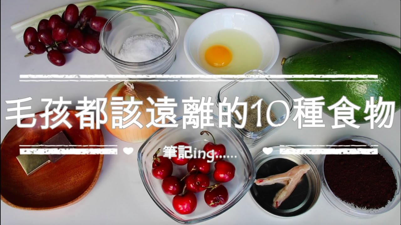 毛孩應該遠離的10種食物 // What your pet can't eat 《CoConilla不麻煩鮮作寵食》