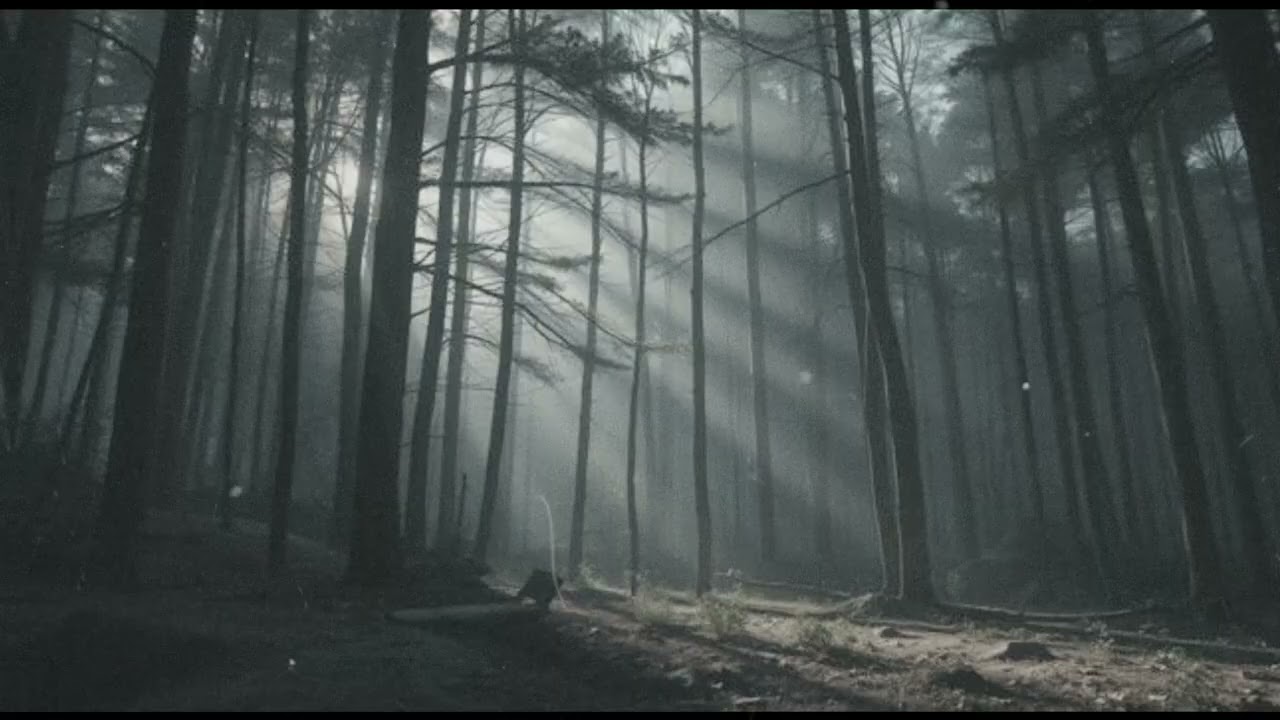 Dark Forest Meditation - Dark Ambient Music - Drone Noise Industrial Music - Ritual Ambient