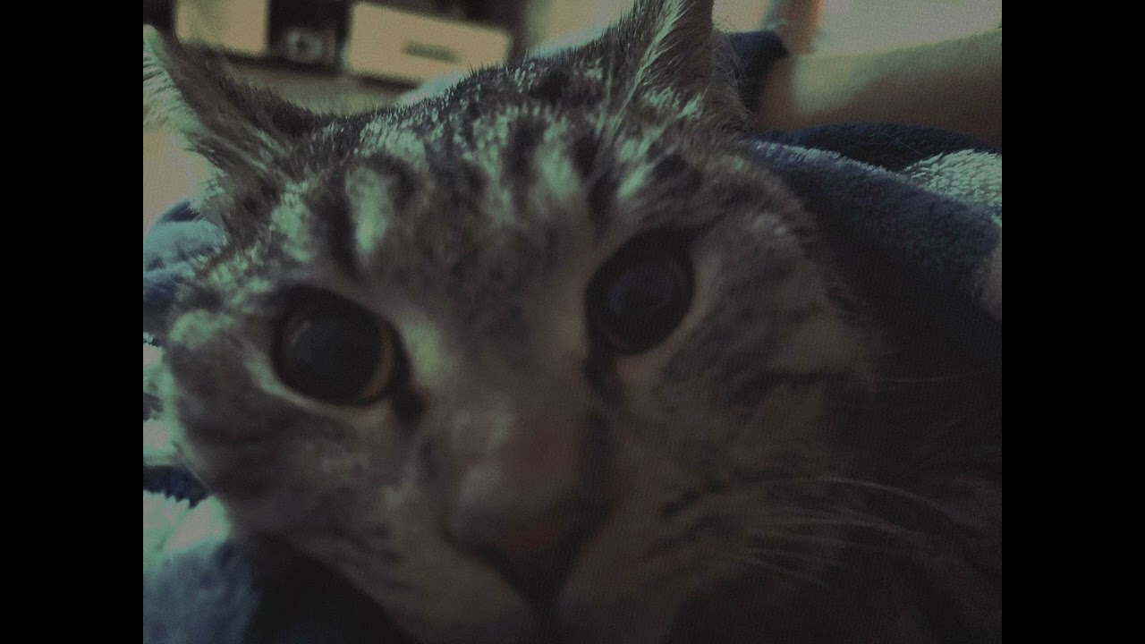Дdeuchlamd 
