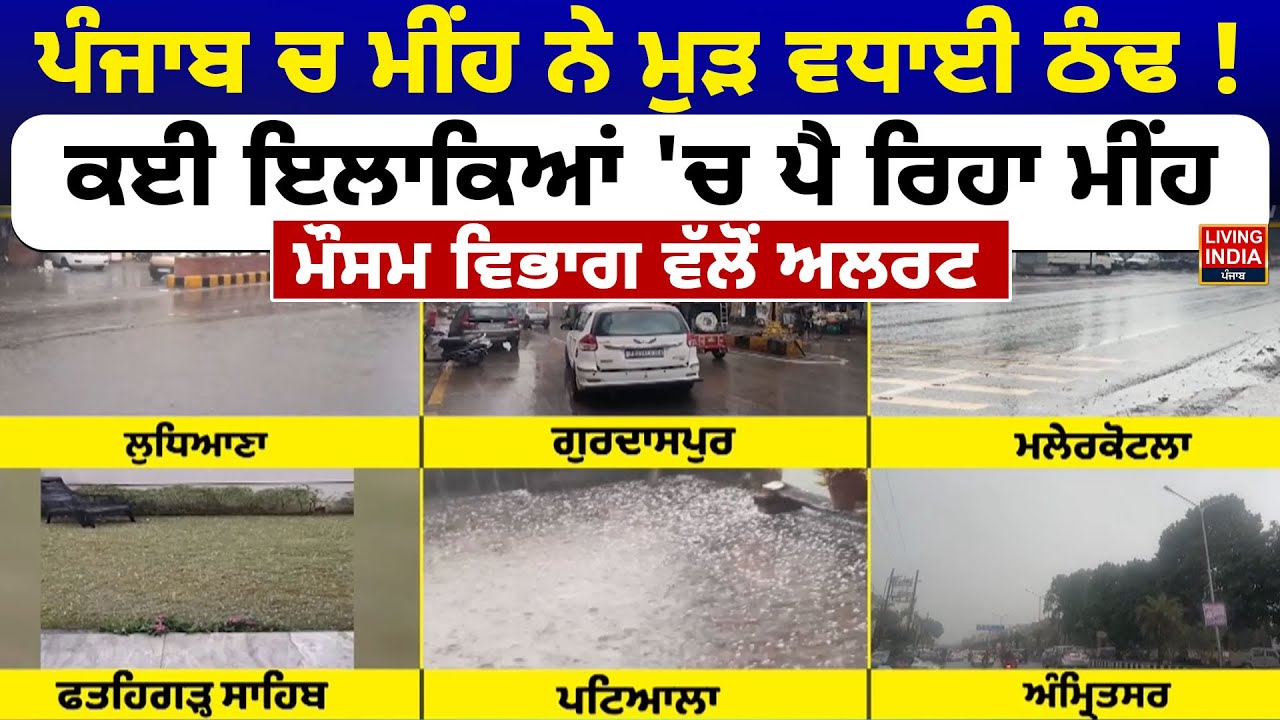 Punjab ਚ ਮੀਂਹ ਨੇ ਮੁੜ ਵਧਾਈ ਠੰਢ ! ਕਈ ਇਲਾਕਿਆਂ 'ਚ ਪੈ ਰਿਹਾ ਮੀਂਹ ਮੌਸਮ ਵਿਭਾਗ Yellow Alert | Weather News