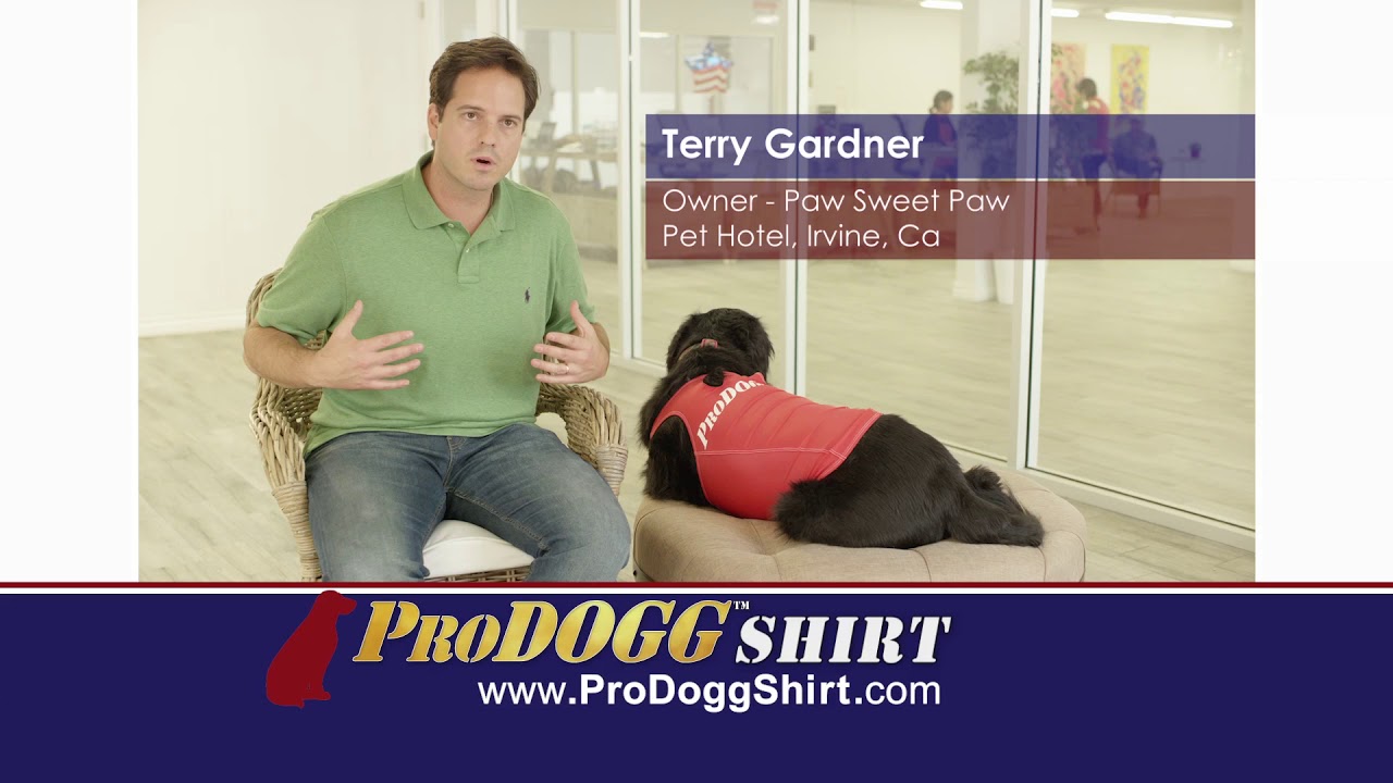 ProDogg Compression Dog Shirt Promotion