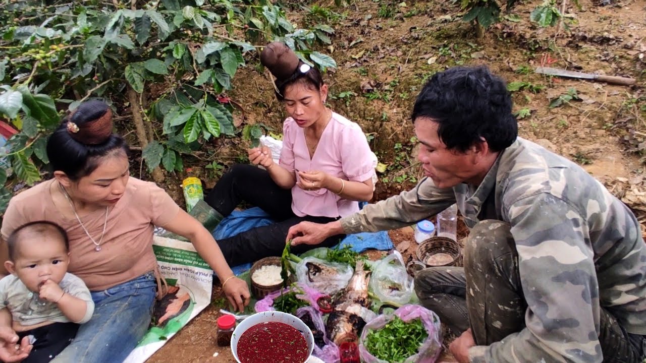 Cảnh ăn cơm trên nương, mùa bận rộn nhất ở Tây Bắc. Tam Tộc TV / Tộc TV family