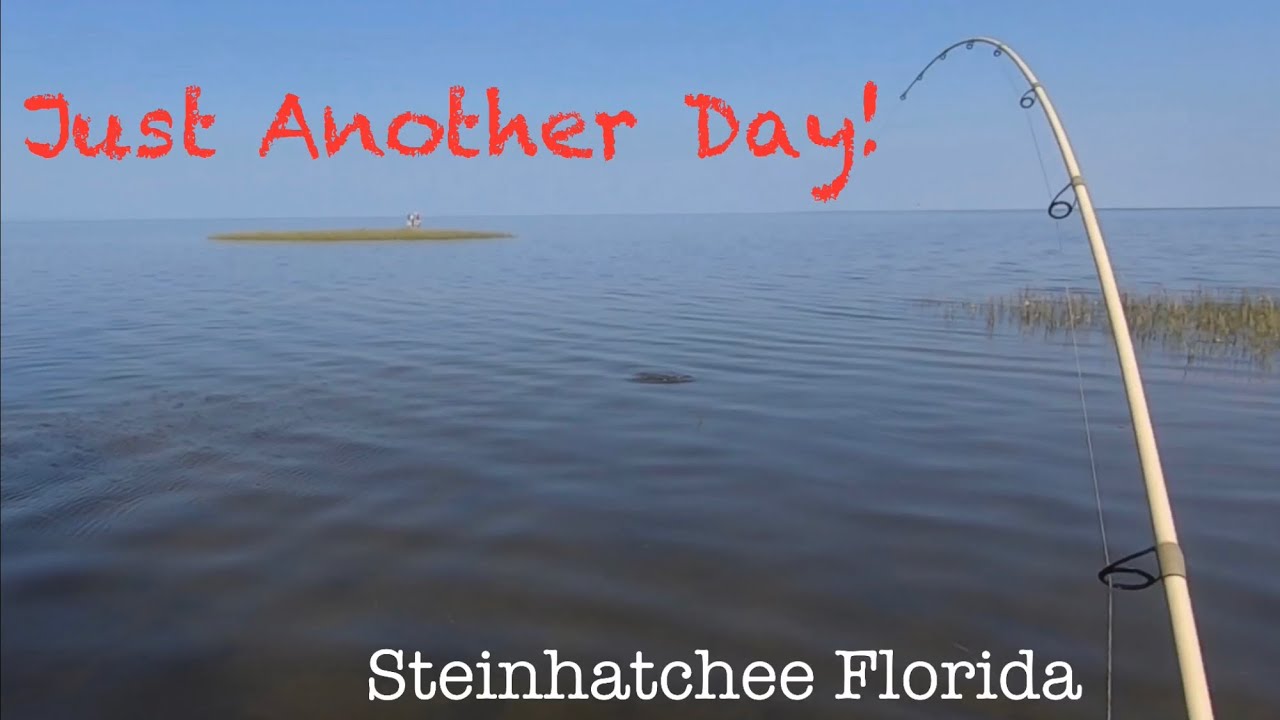 There’s always fish around somewhere!
