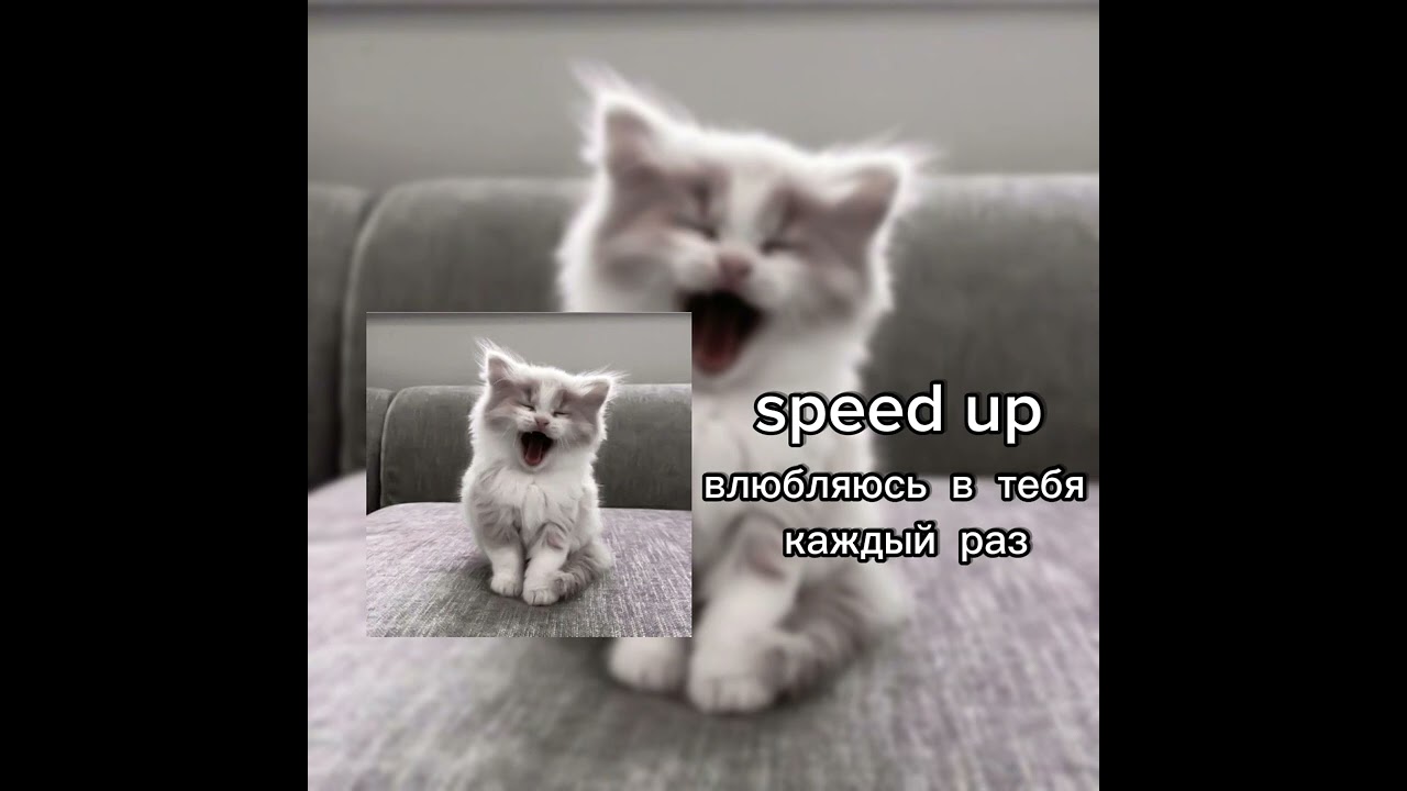 Влюбляюсь в тебя каждый раз (speed up)💕😢