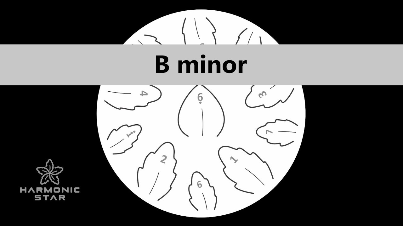 B minor - Harmonic Star Steel Tongue Drum Tutorial