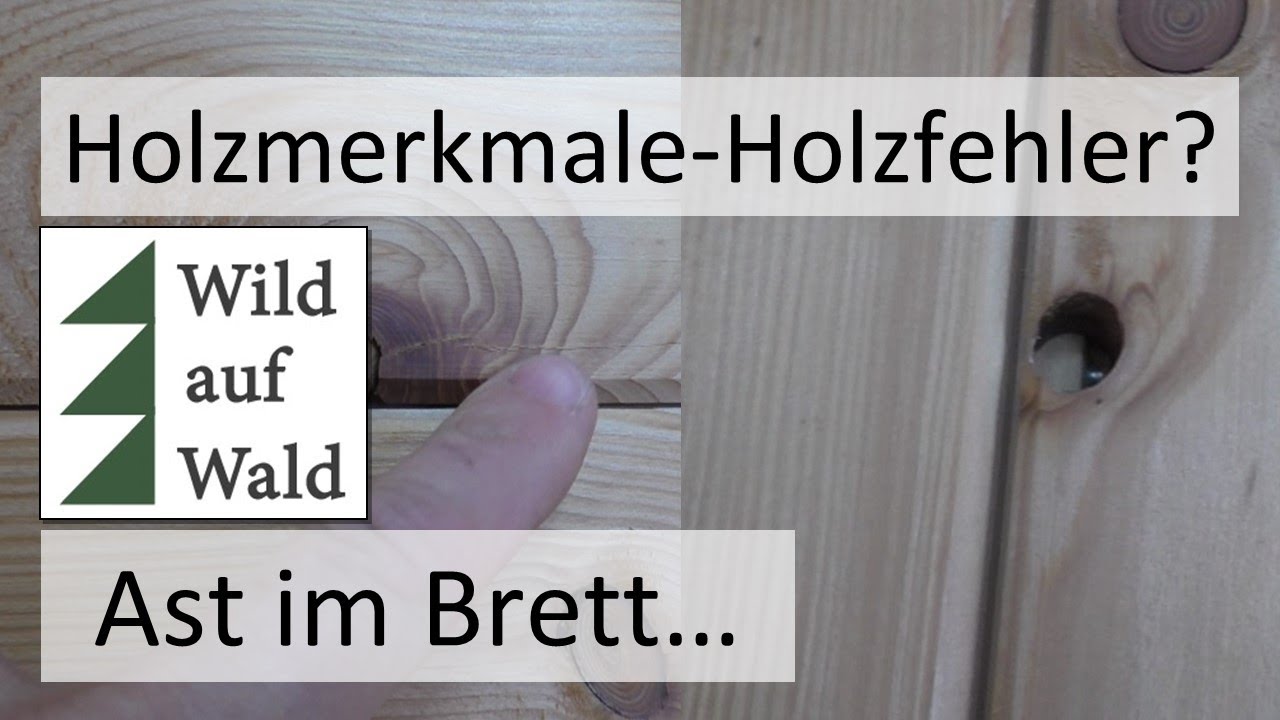 🌲Wertholz: Ast ist nicht gleich Ast?