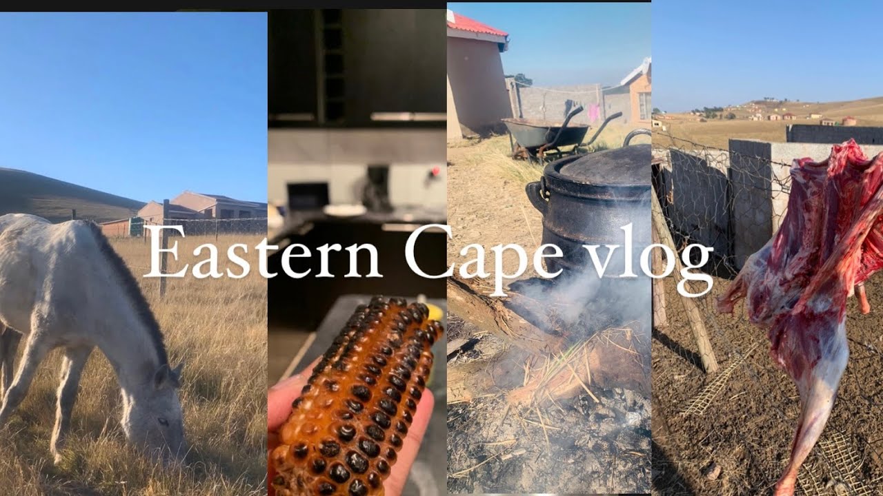 Eastern Cape Vlog|Mthatha|Airport|+more|South African Youtuber🇿🇦