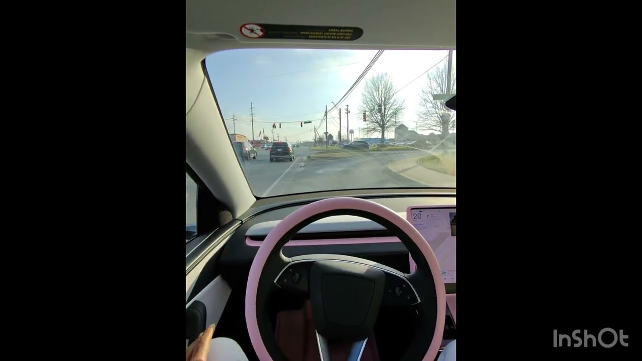 FSD Tesla Model Y Juniper v14.2.1 Self Parking