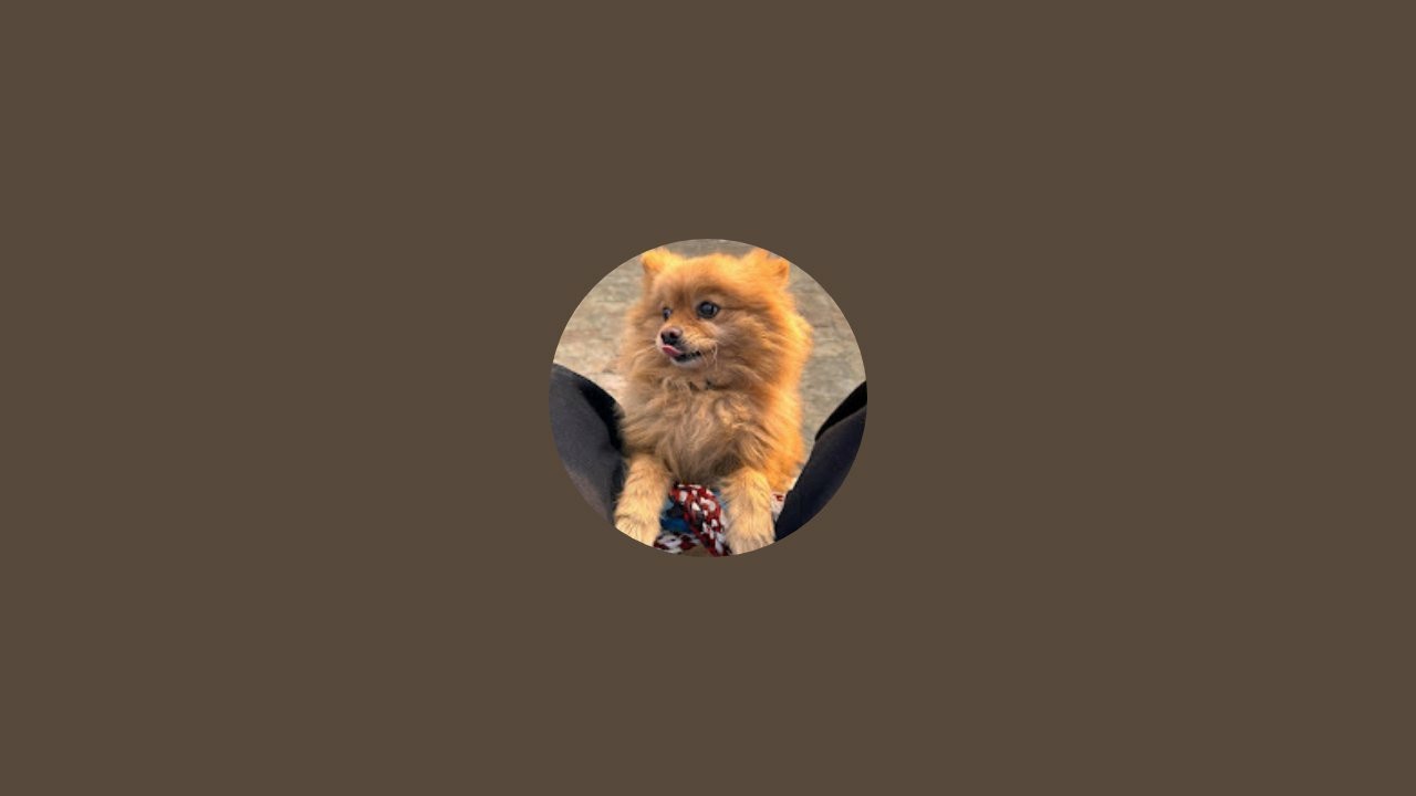 Kuljeet is live!