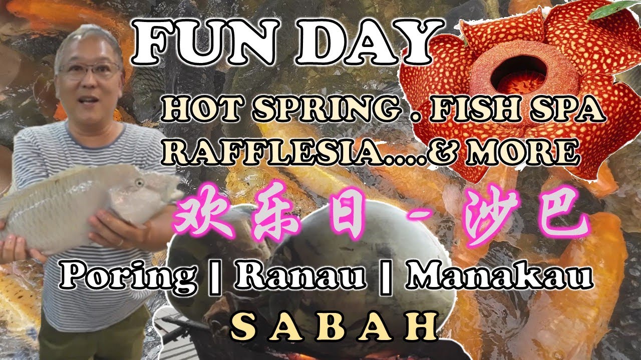 Fun Day Sabah | 欢乐日 - 沙巴 | HOTSPRING | FISH SPA | BBQ COCONUT | RAFFLESIA | PORING | RANAU | MARAKAU