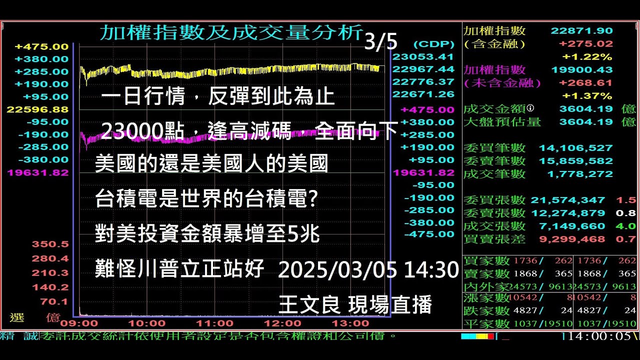 一日行情，反彈到此為止 23000點，逢高減碼，全面向下 美國是美國人的美國 台積電是世界的台積電?對美投資金額暴增至5兆 難怪川普立正站好 2025/03/04「股市永勝」王文良 