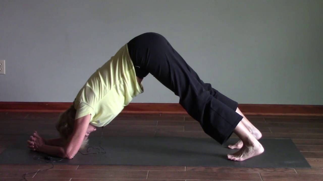 Terrys Yoga Studio Flow Yoga Kripalu Style