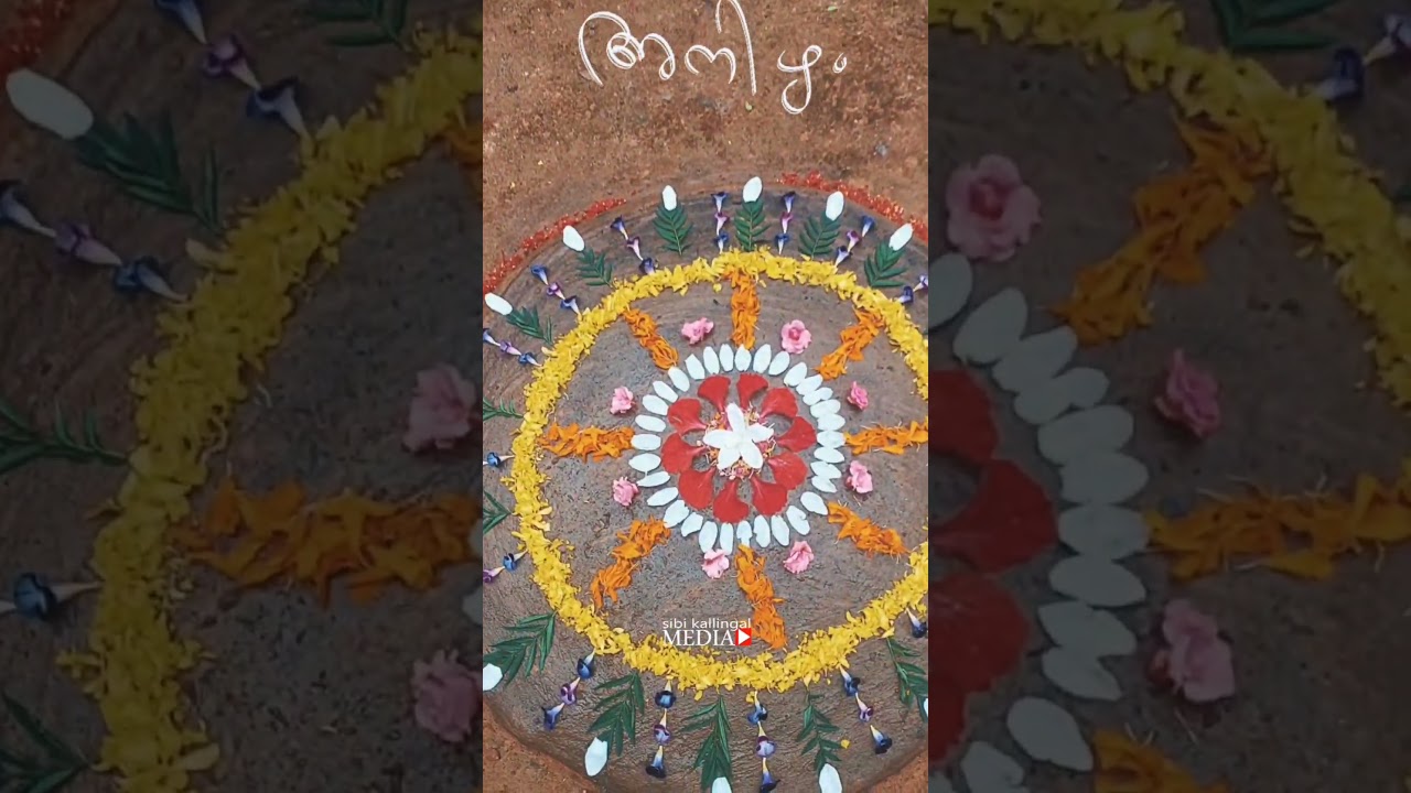 #shorts #onam #anizham