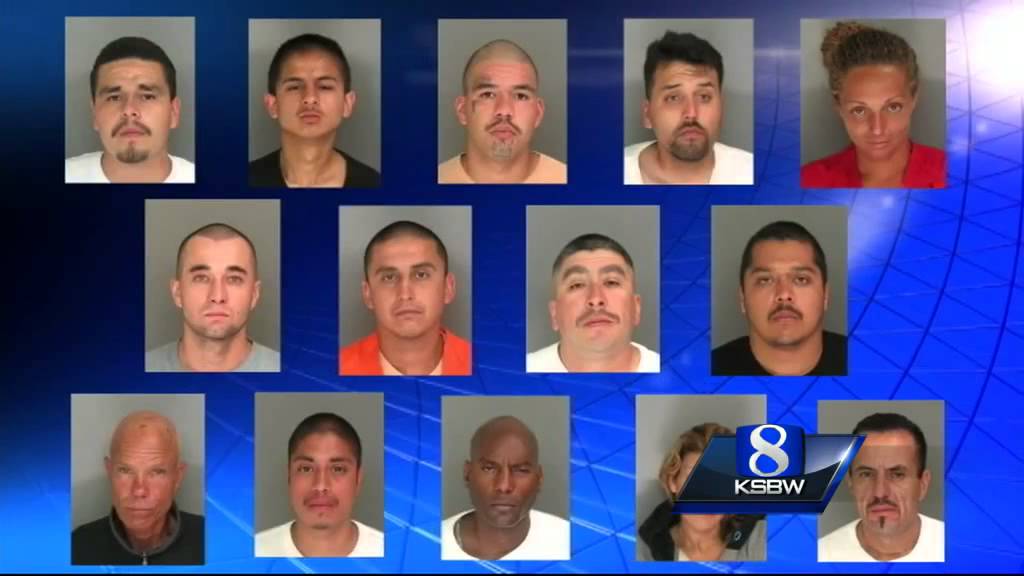 16 arrested in Santa Cruz County gang sweep