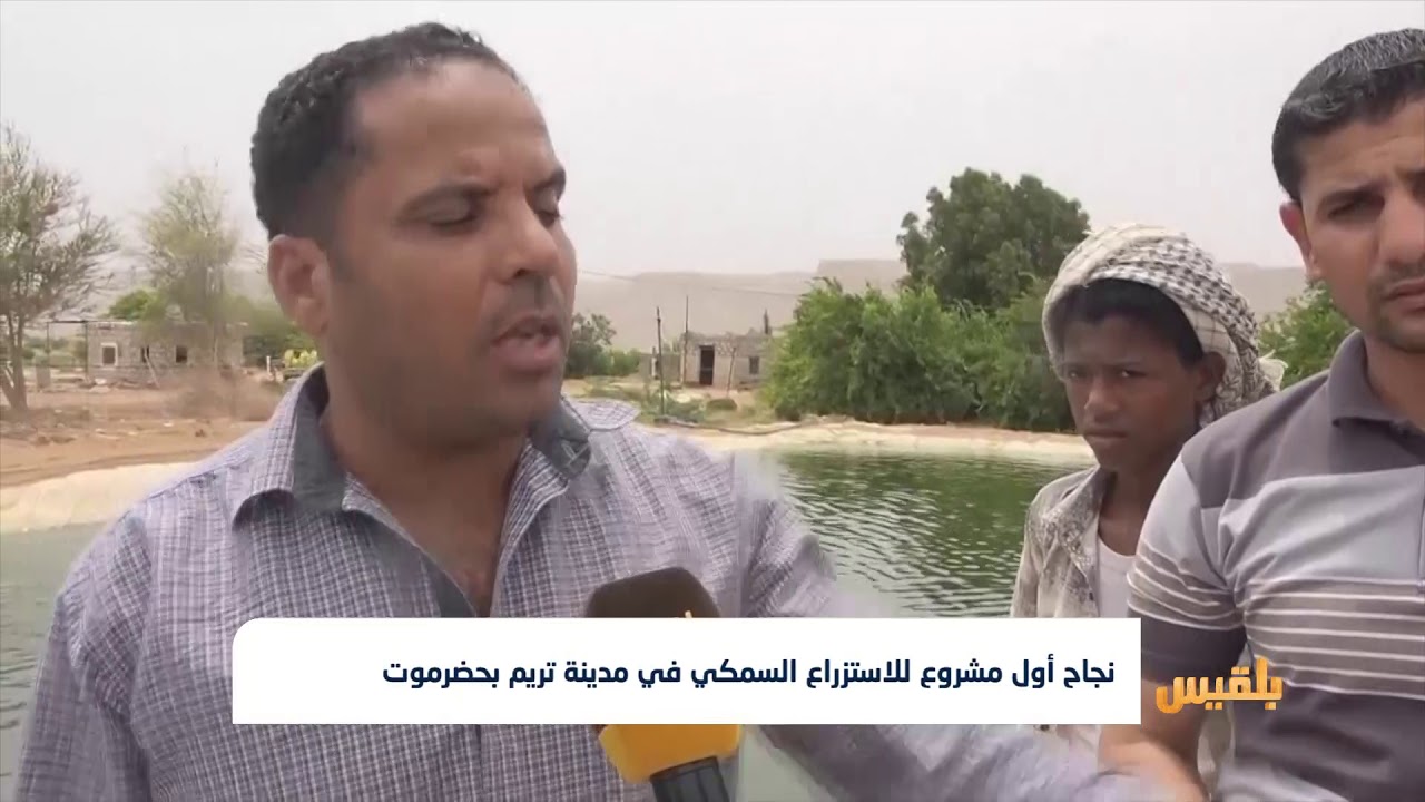 نجاح أول مشروع للاستزراع السمكي في مدينة تريم بحضرموت | تقرير :حداد مسيعد