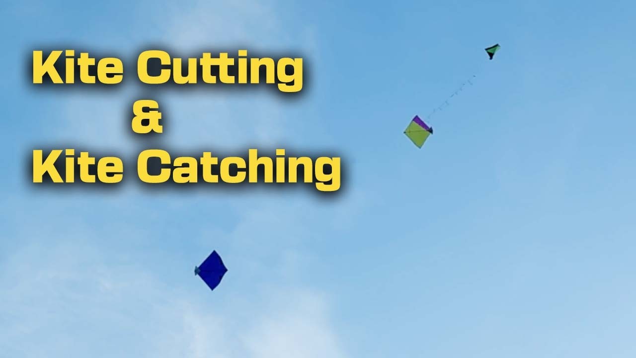 Kite Catching & Kite Fighting Video | Kite Catching | Kite Cutting Video | Kites Vlog
