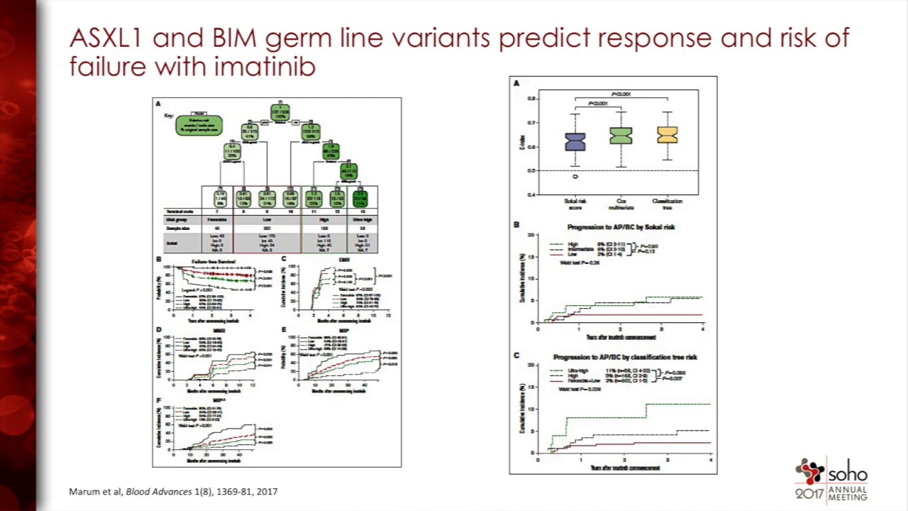 120CML13