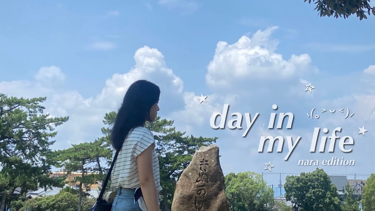 a hot summer day in NARA  ོ༘₊⁺☀︎₊⁺⋆| nara park, mochi pounding, tokae lantern festival