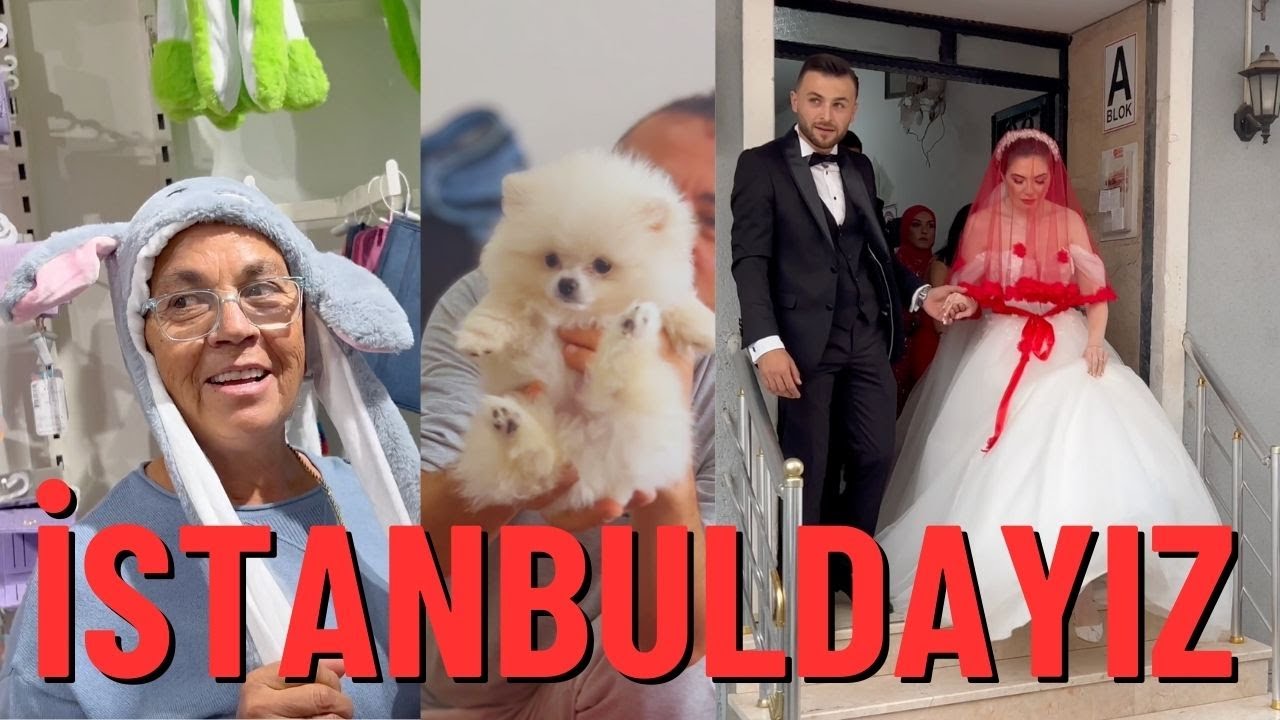 SÖZ POHÇASI DÜĞÜN ZİYARET HEPSİ BİR ARADA