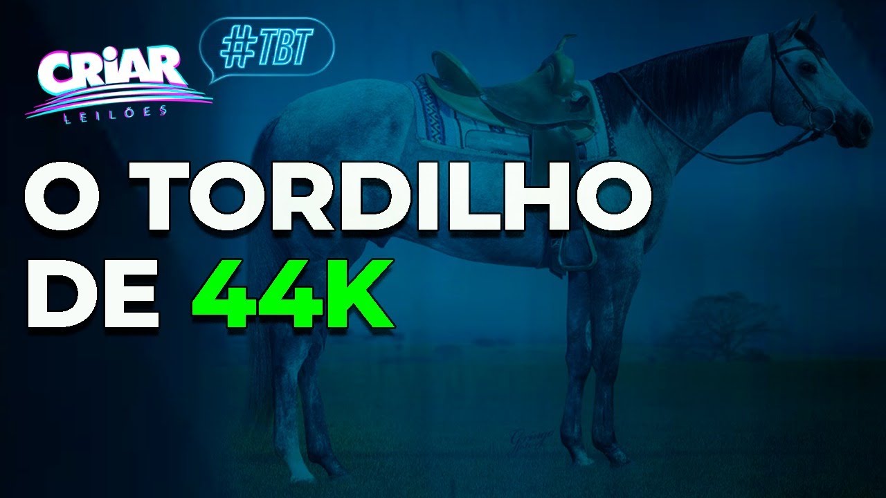 O TORDILHO de 44K por Criar Leilões