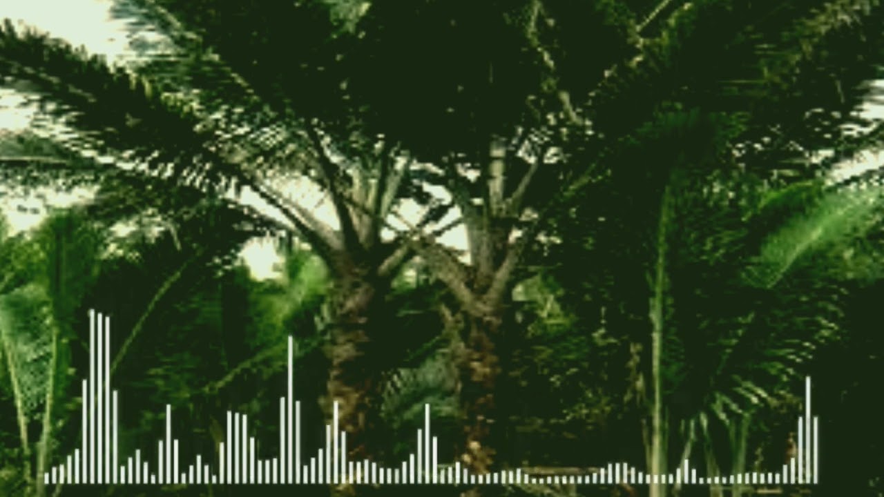 Salawati indah Black Brothers/Dulla Rumagesan Cover ( Nas Wael )