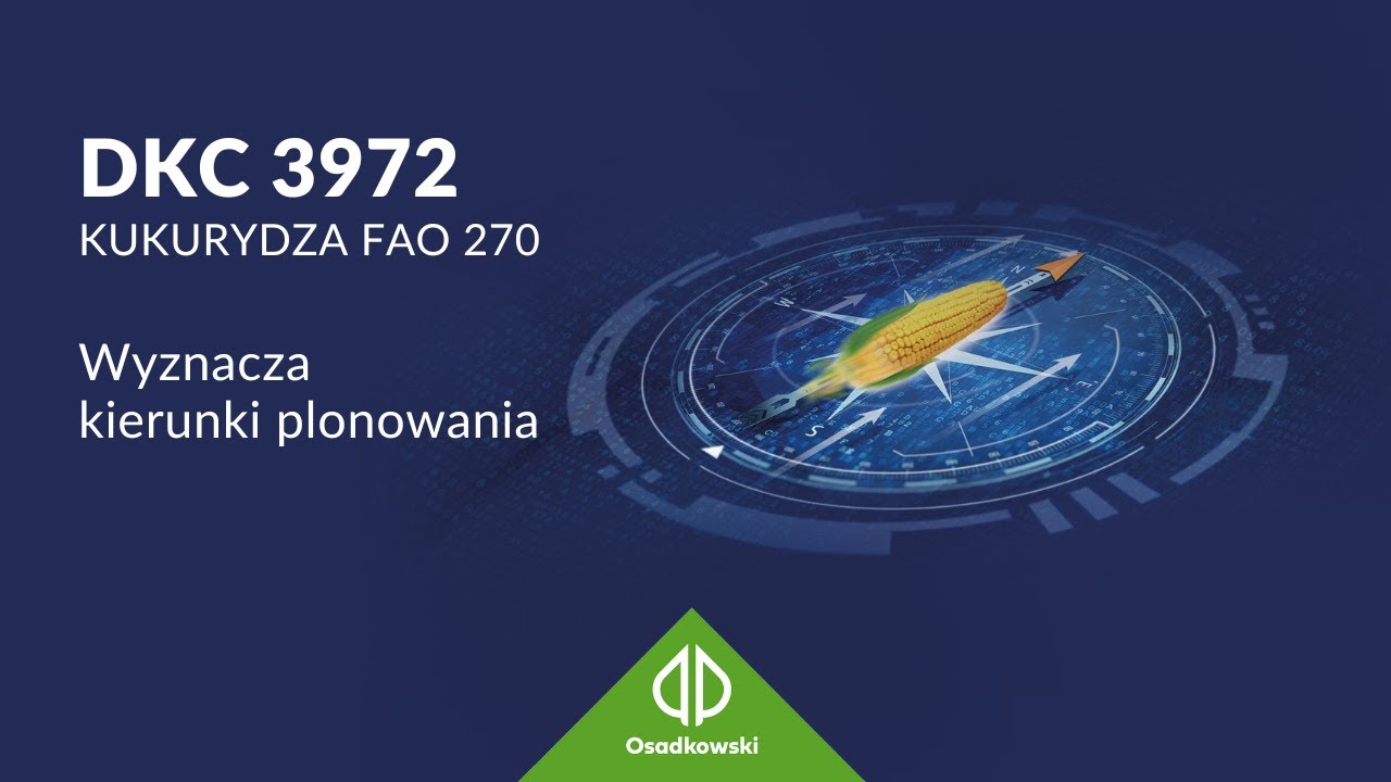 Kukurydza 🌽 𝗗𝗞𝗖 𝟯𝟵𝟳𝟮 - Wyznacza kierunki plonowania
