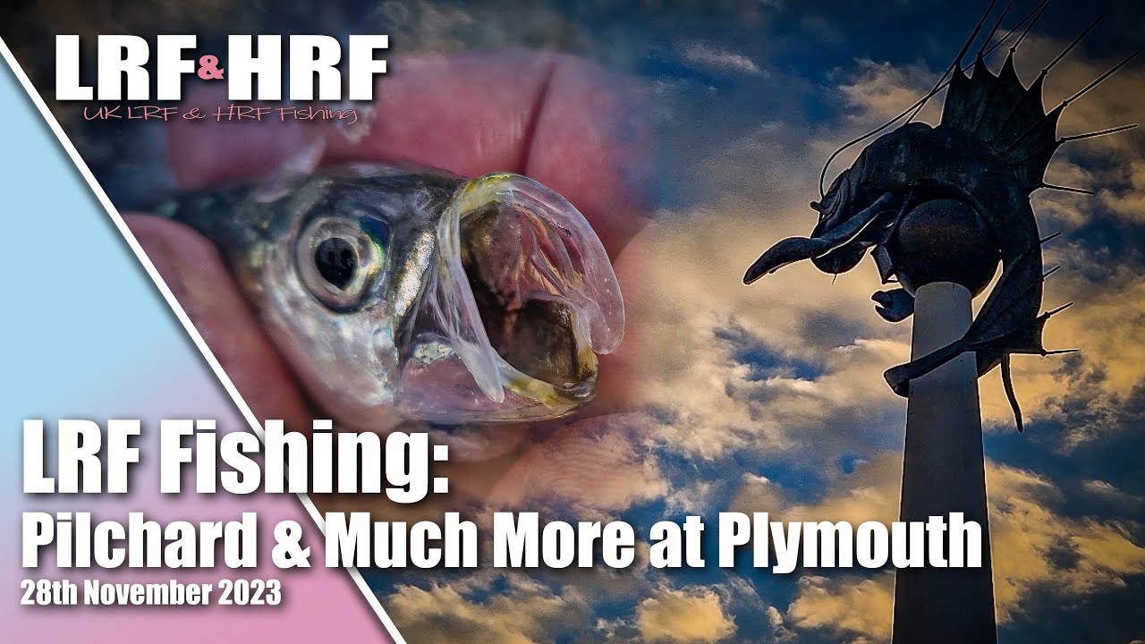 LRF Fishing: 12 Species Session at Plymouth