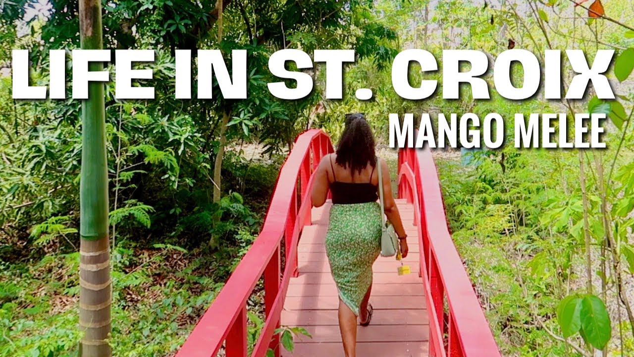 MANGO MELEE - A MANGO FESTIVAL | LIFE IN ST. CROIX VIRGIN ISLANDS 2023