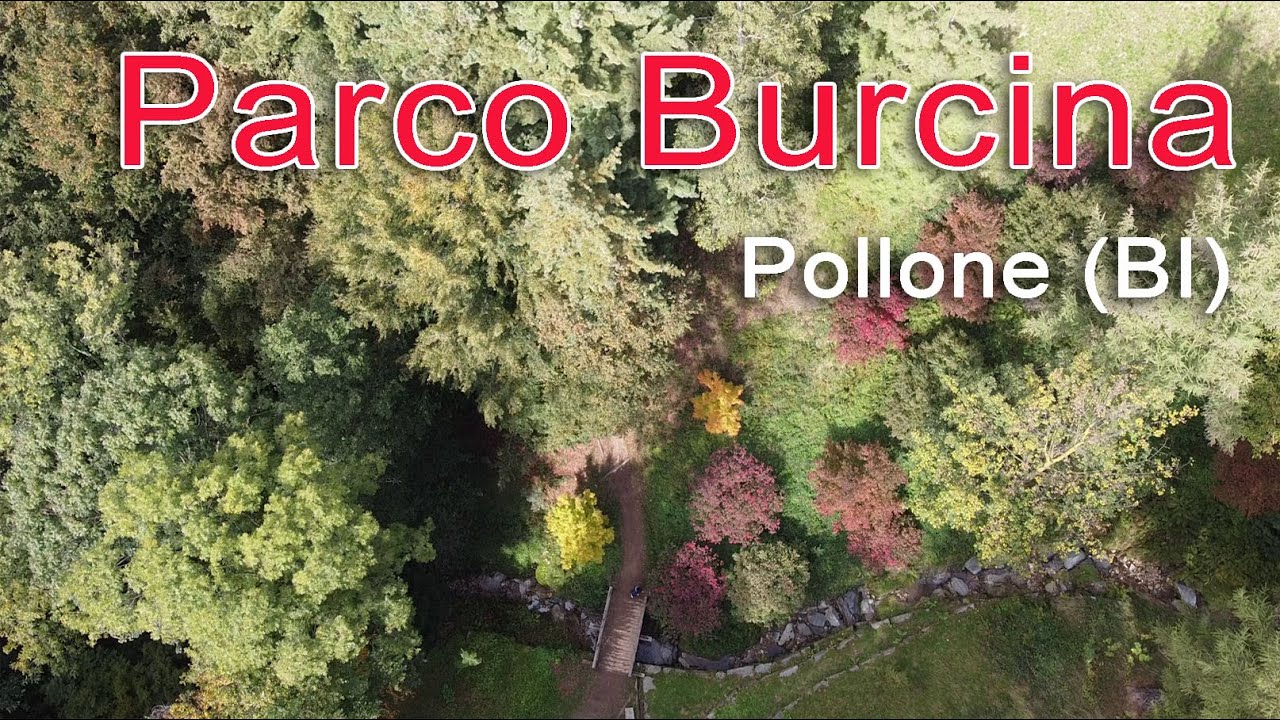 Parco della Burcina - primi colori d'autunno - Dji Mavic Mini