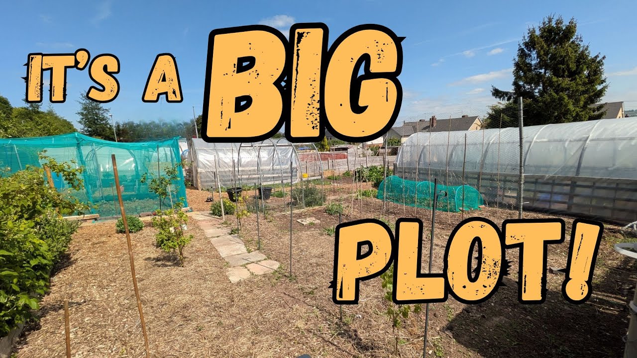 Exploring The Allotment In May. Full Growing Tour