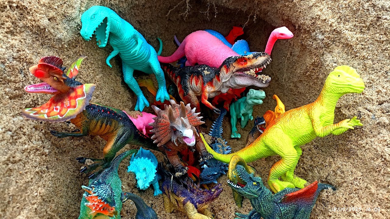 Menemukan harta karun dinosaurus Brontosaurus Brachiosaurus t-rex Spinosaurus Stegosaurus Allosaurus