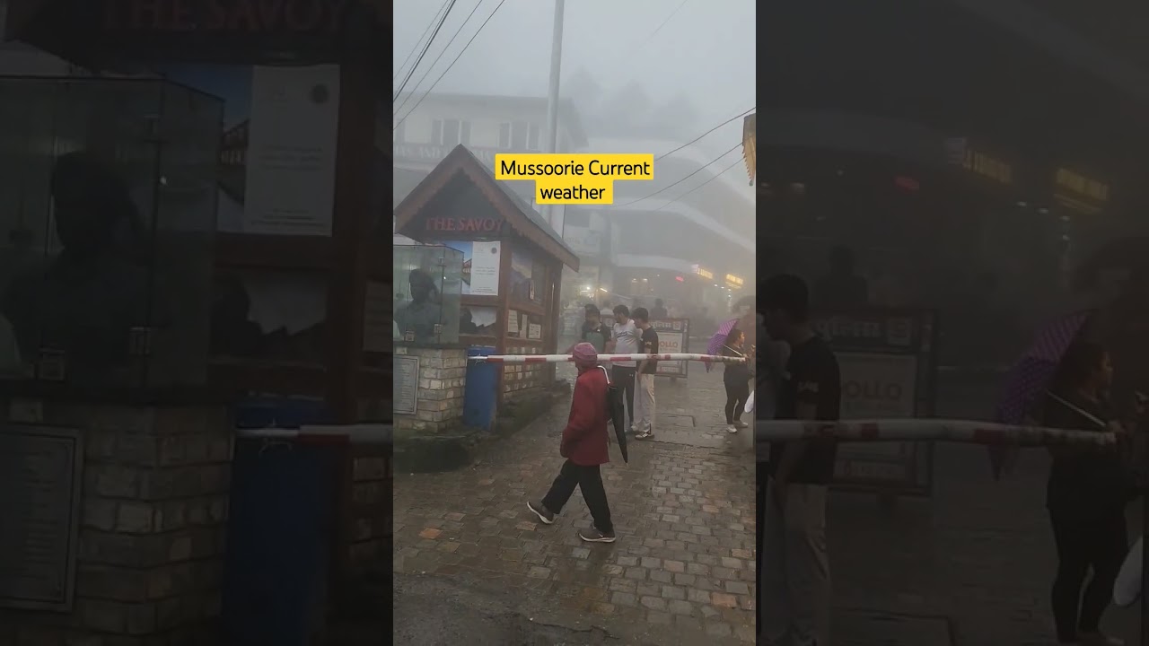 Weather Mussoorie Dhek lo Couple aajao #travel #baltal #amarnathyatra #mountain #nature #vlog