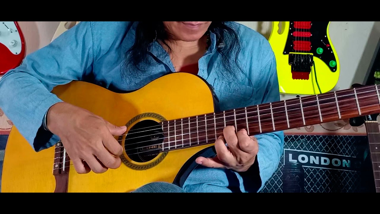 พิษณุโลกซ่อมเครื่องดนตรี Line 6 variax  300 nylon