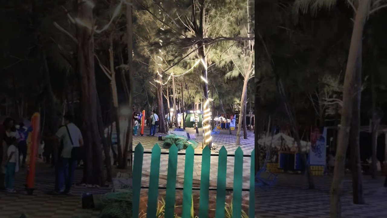 Alappuzha beach night walk | spot in Alapuzha|  #travel #nature #photography #love #naturephoto