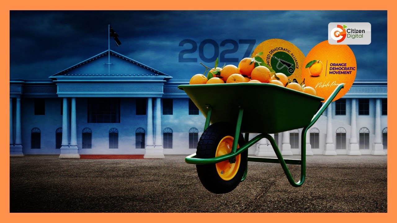 UDA and ODM to hold joint parliamentary group meeting on 10-point agenda