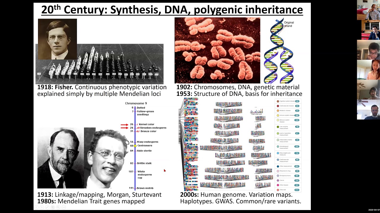 MIT Deep Learning in Genomics - Lecture 16 - Genetics 1: GWAS, Linkage, Fine-Mapping