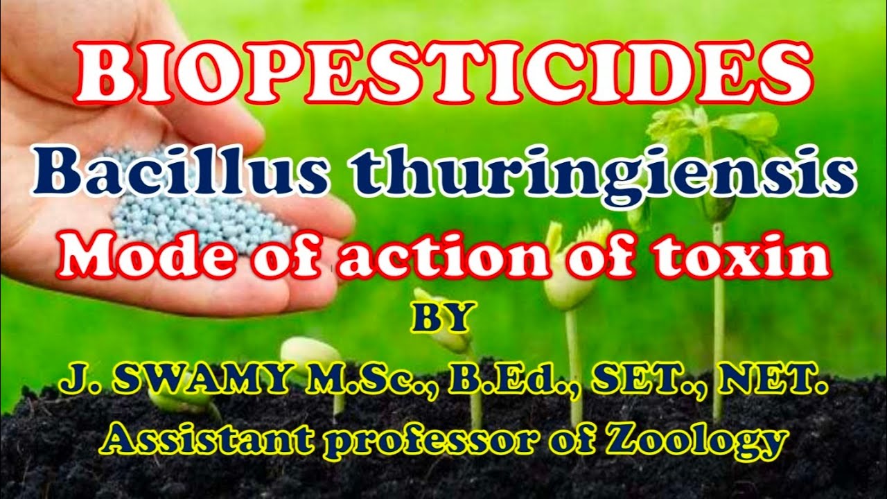 BIOPESTICIDES BACILLUS THURINGIENSIS